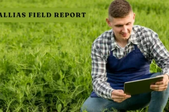 A Comprehensive Guide to the Fallias Field Report