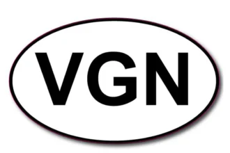 Exploring the Benefits of VGN Envoye