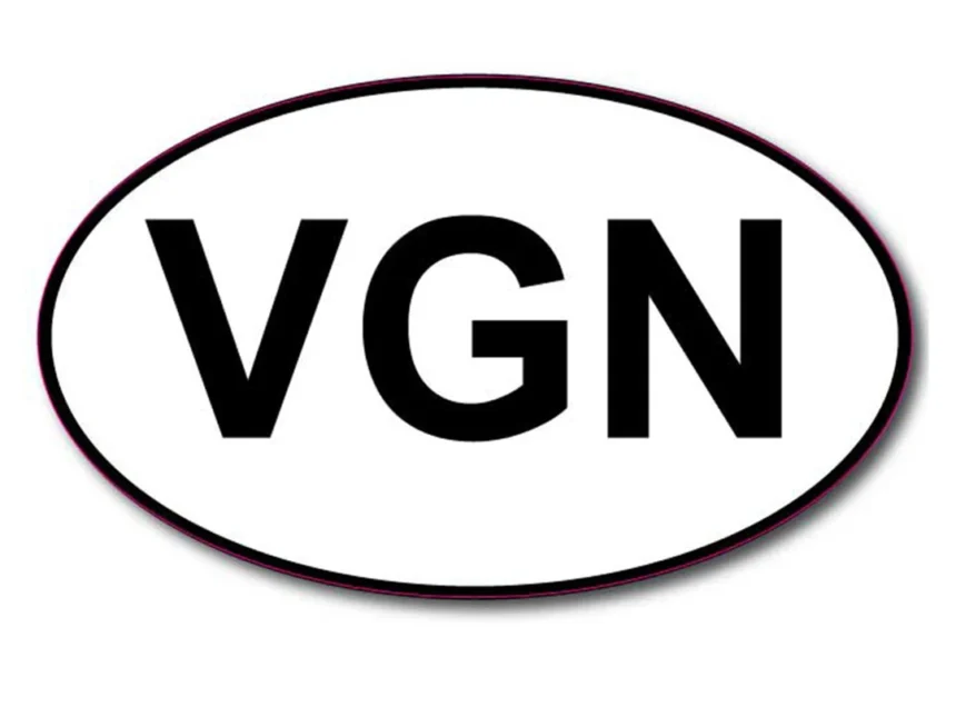 Exploring the Benefits of VGN Envoye